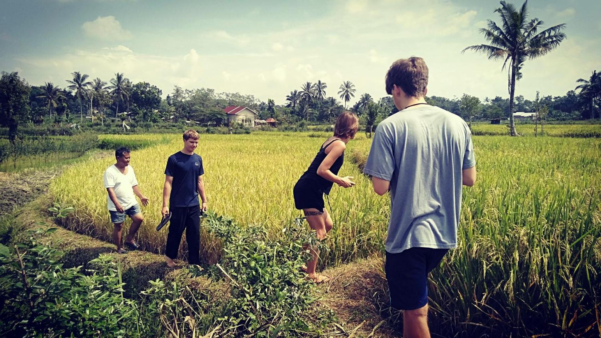 Bujak Permai Villa Matahari Lombok Ntb 프라야 외부 사진