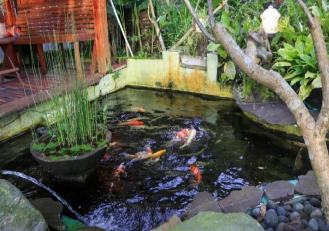 Bujak Permai Villa Matahari Lombok Ntb 프라야 외부 사진