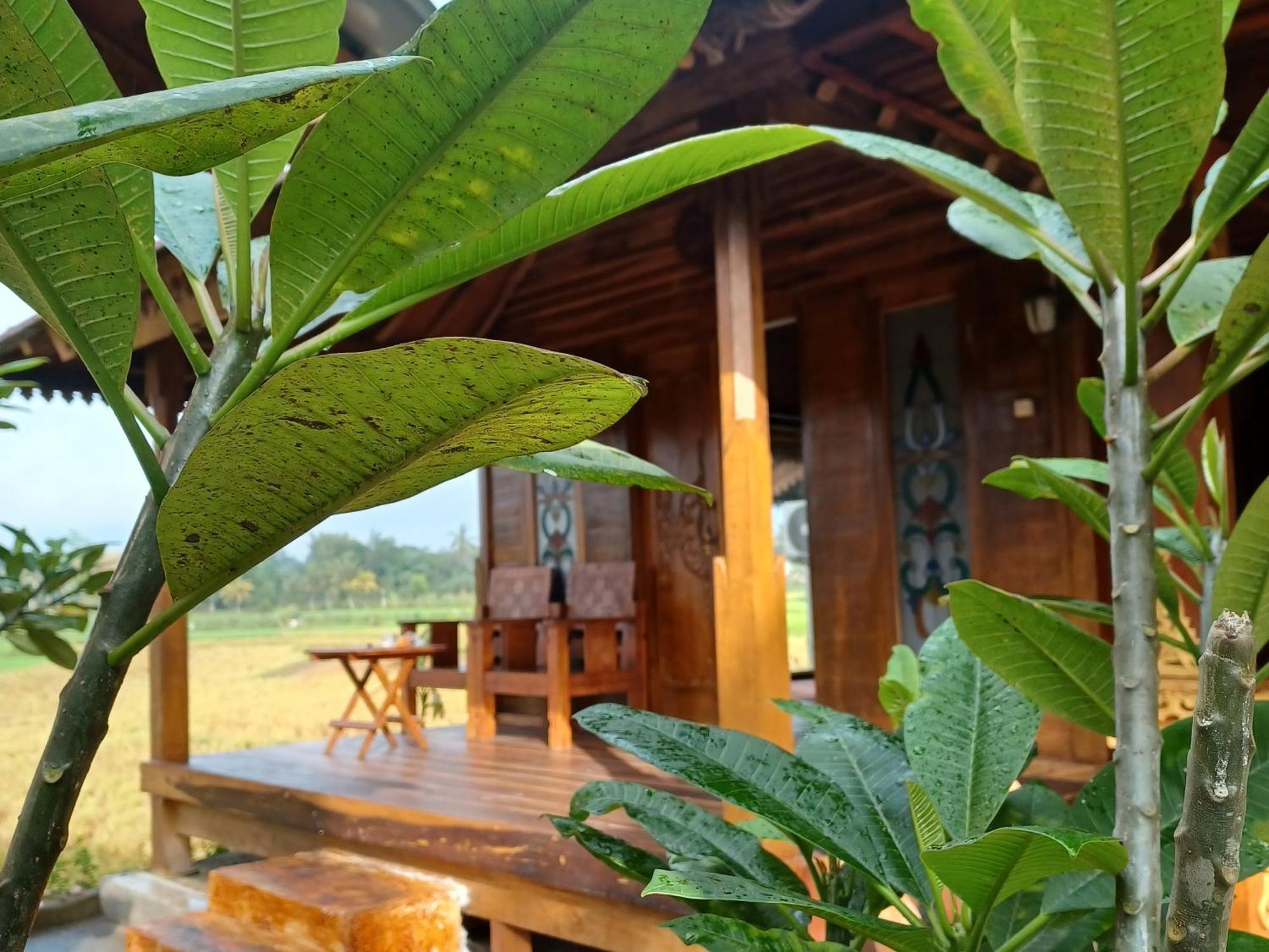 Bujak Permai Villa Matahari Lombok Ntb 프라야 외부 사진